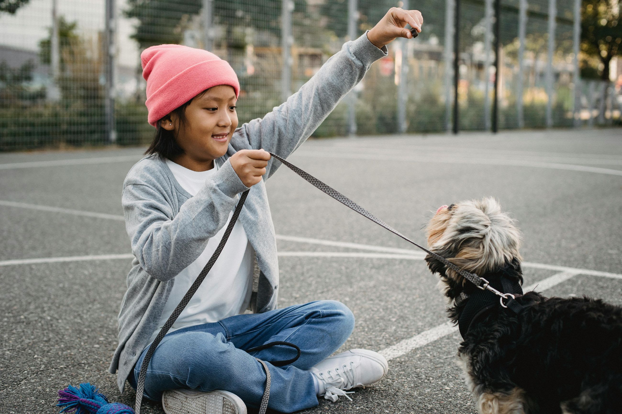 Decode Dog Behavior: Tips for Training Small Breeds