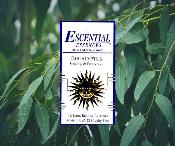 Eucalyptus Clearing & Protection Escential Essences incense stick wands