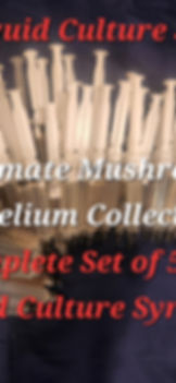 51 Mushroom Liquid Culture Collection