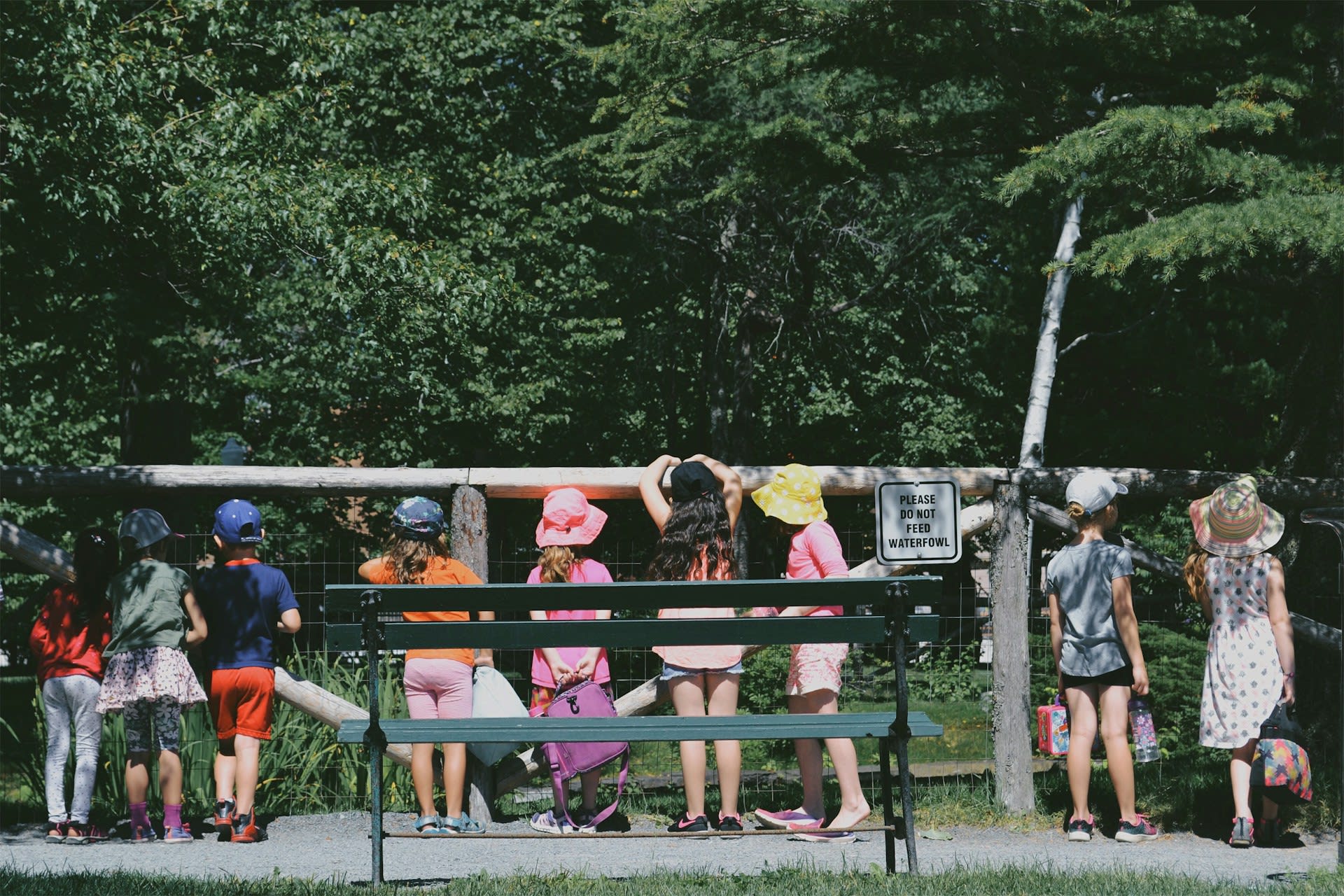 What Are The Benefits of Summer Camps For Kids