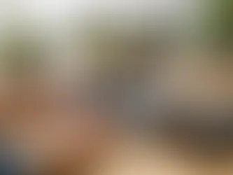 How to Buy a Bonsai Starter Kit Online