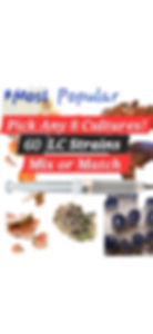 Mushroom Liquid Culture Syringes 8 Pack