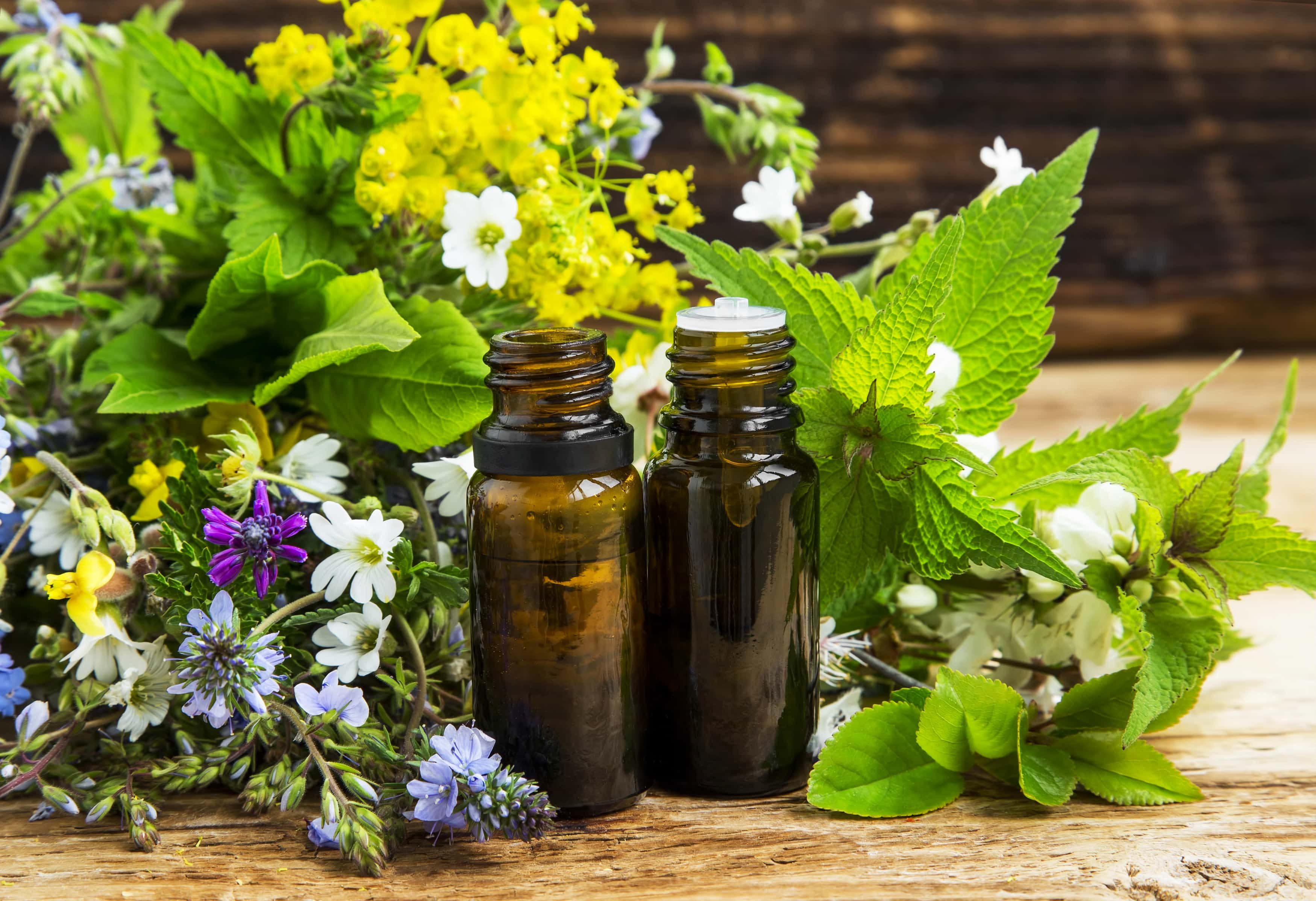 12 Winter Wellness Tips to Stay Healthy this Season