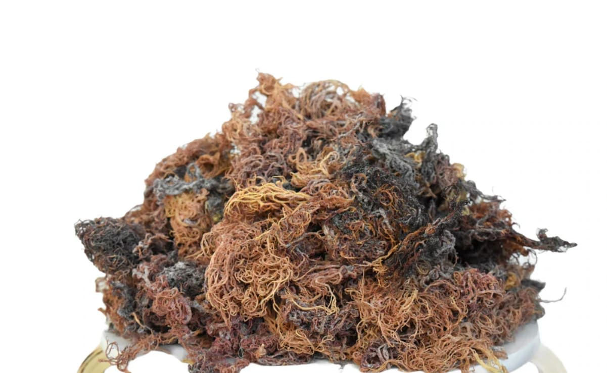 Raw Sea Moss
