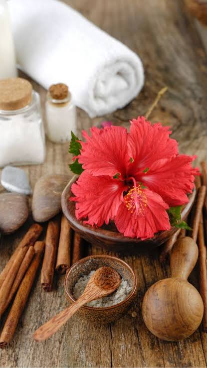 What Makes Ayurvedic Hibiscus Oil a Must-Have for Beauty?