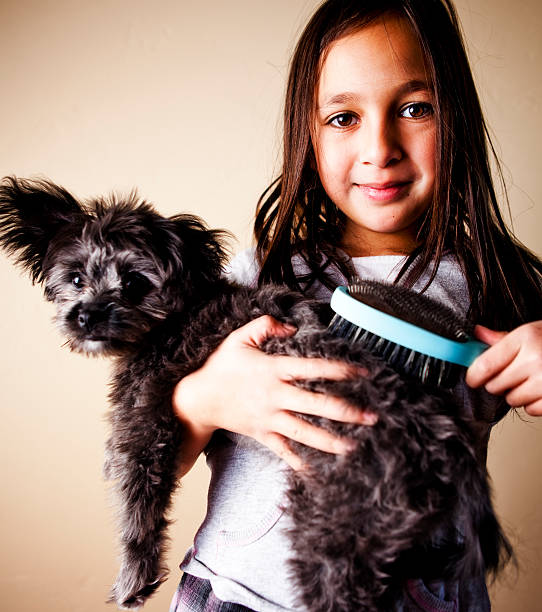 What Dog is Best if You Have Allergies? (Top 15 Breeds)
