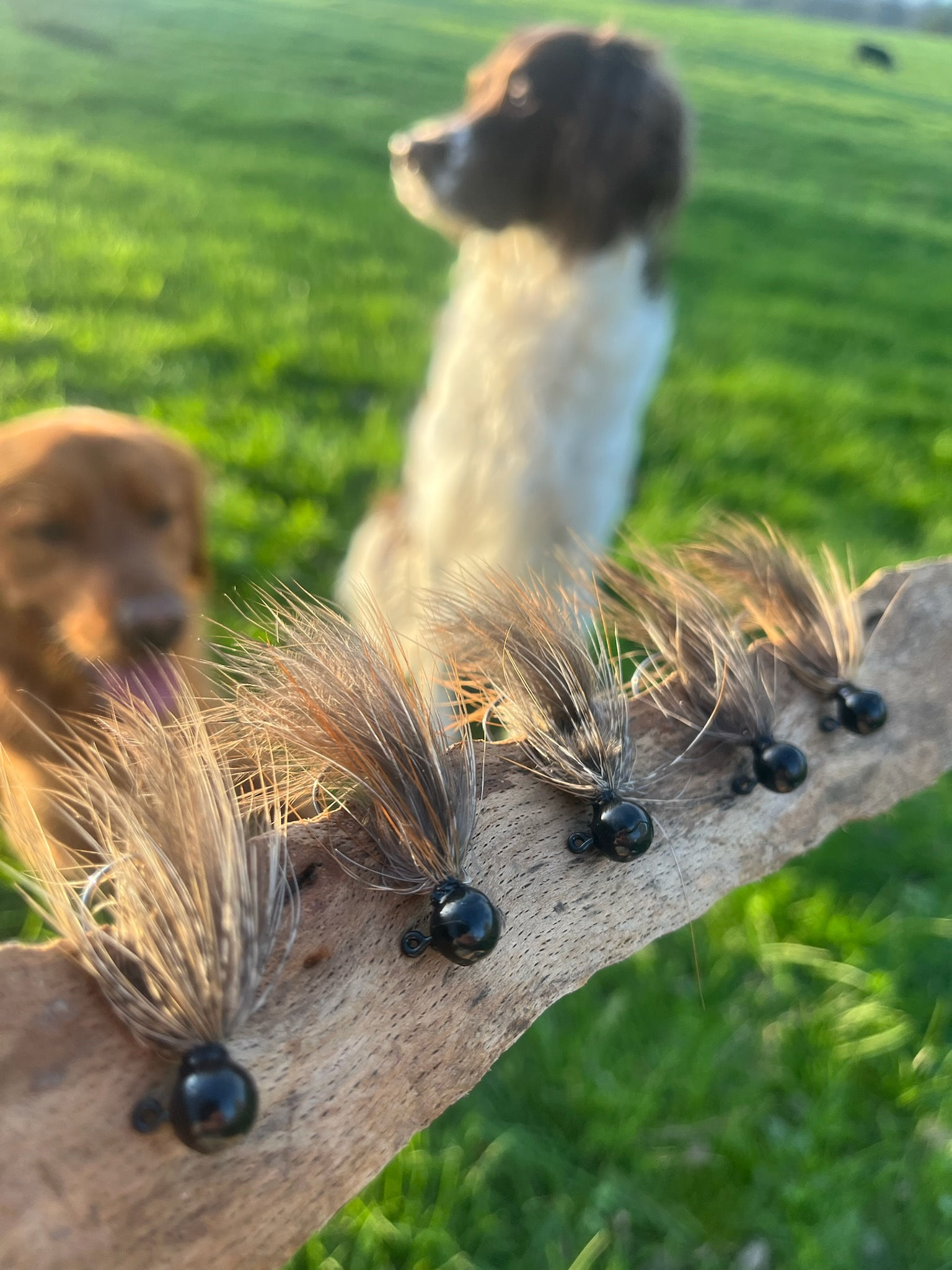 Fishy Pheasant Jig Pack