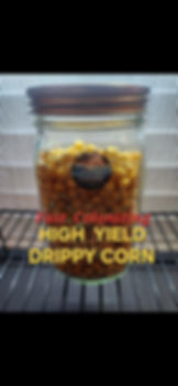 1 Quart Mushroom Grain Spawn Jar