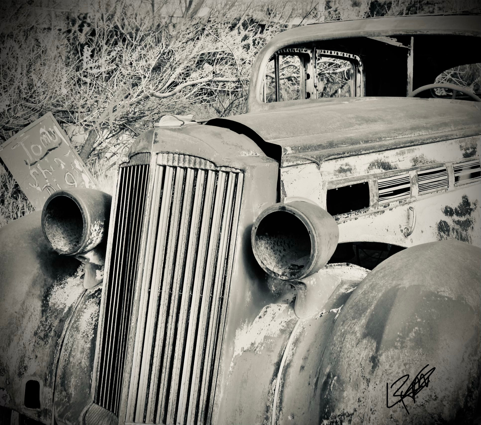 Black and White Photography Prints