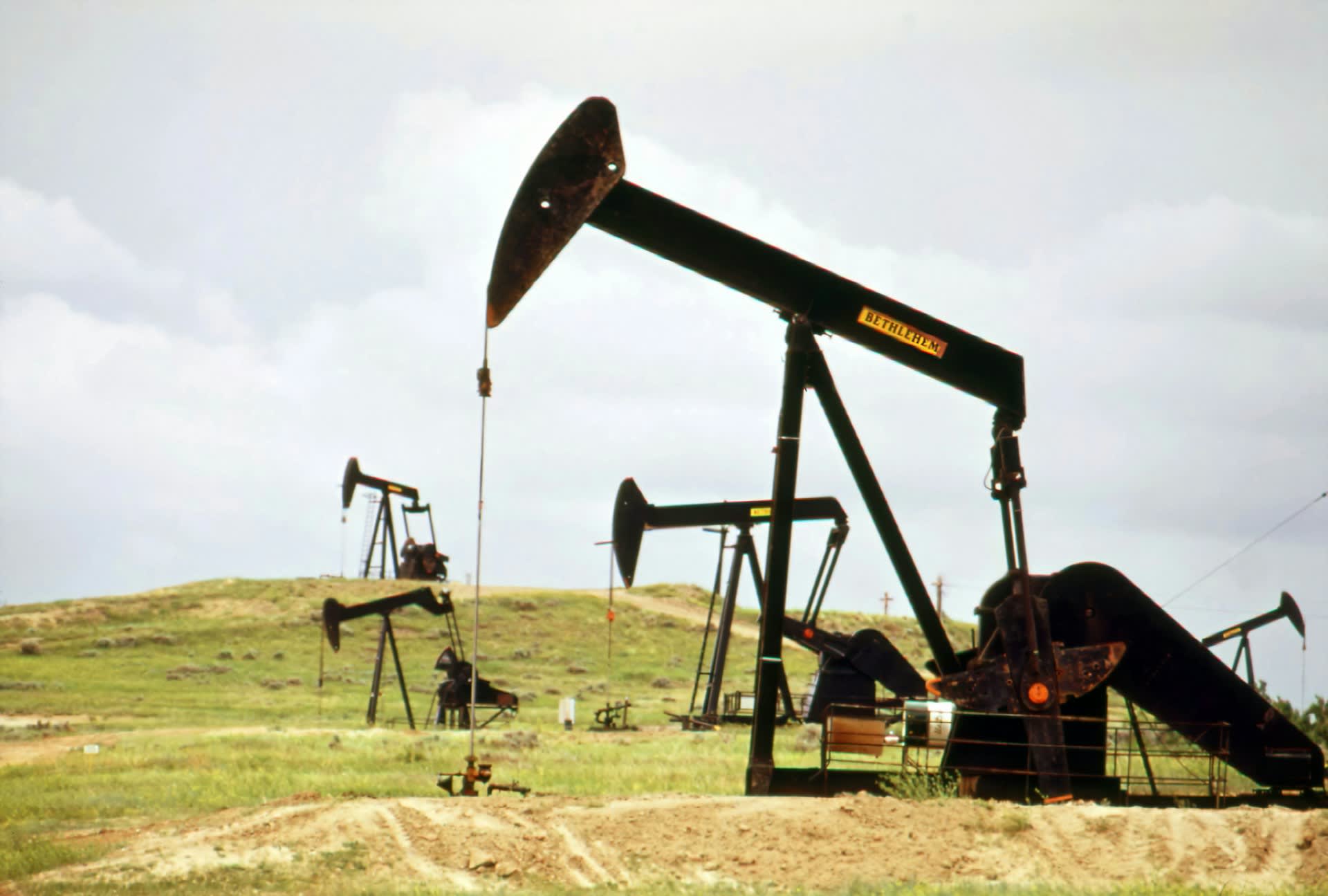 Key Responsibilities of Hosts in the Oil and Gas Industries