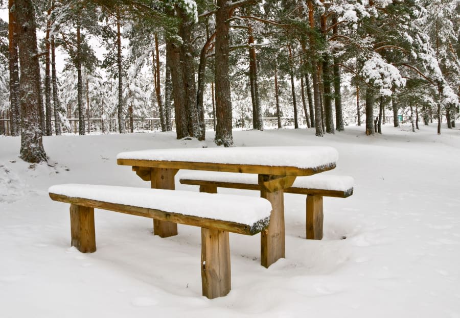 Tips for Selecting the Perfect Winter Break Destination