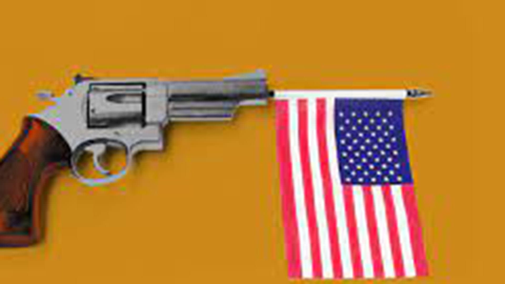 Second Amendment reform