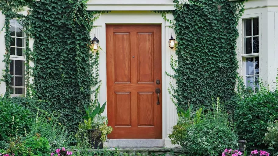 The Ultimate Guide to Cleaning and Caring for Your Exterior Doors