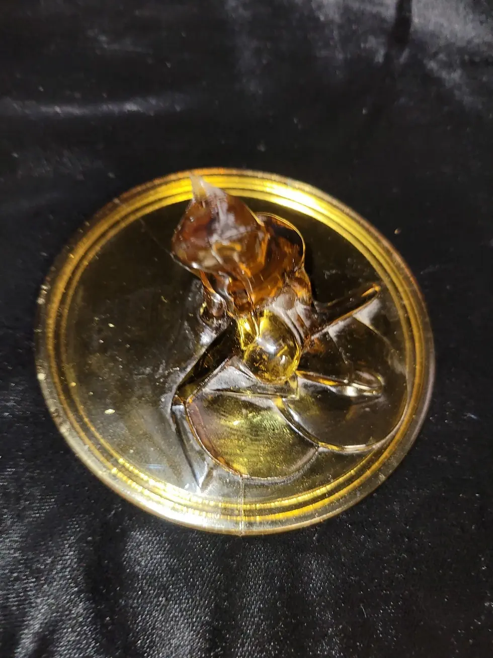 Thumbnail: Amber Glass Cat Drum Jar Portieux Vallerysthal