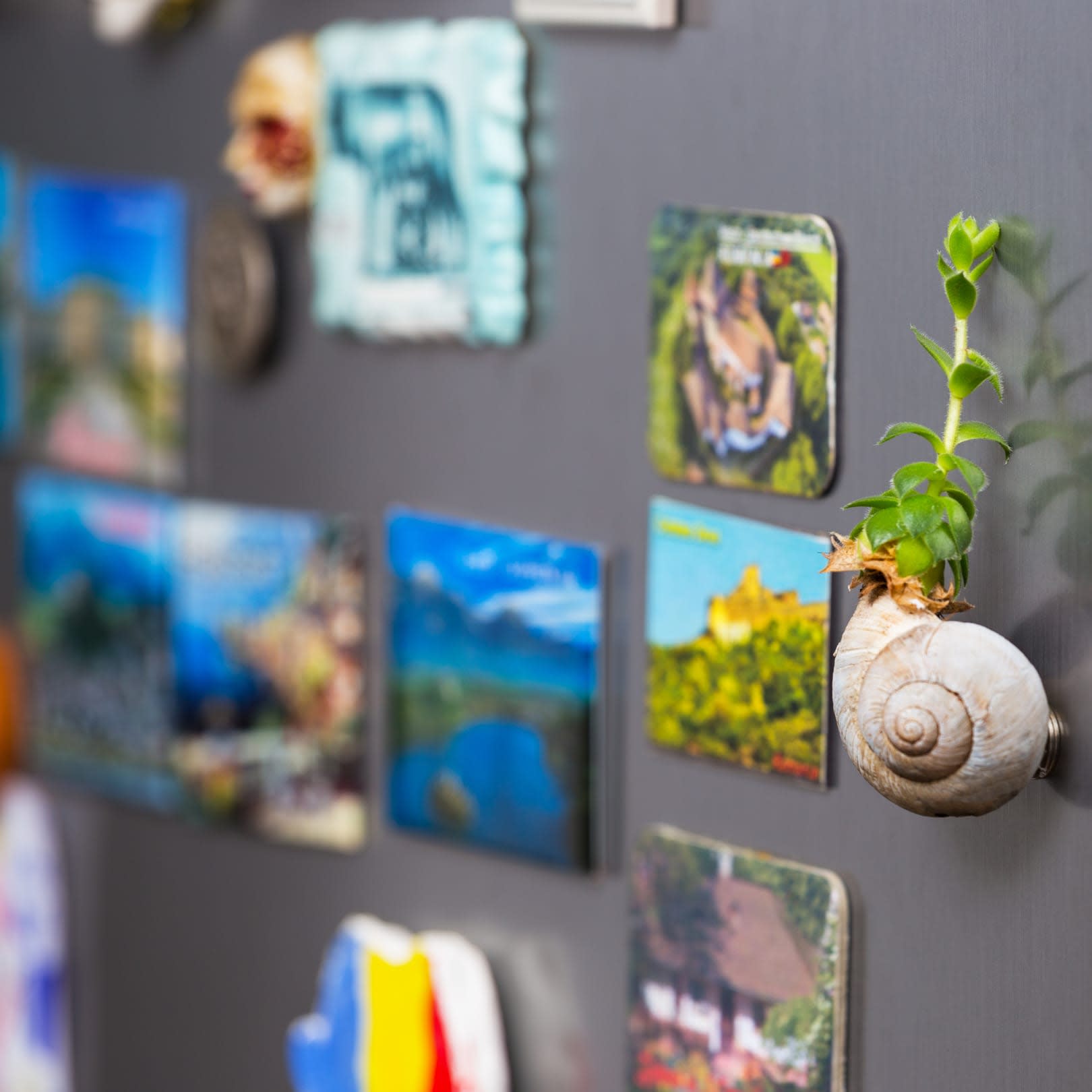 Creative Uses of Personalized Magnets: Beyond the Refrigerator Door