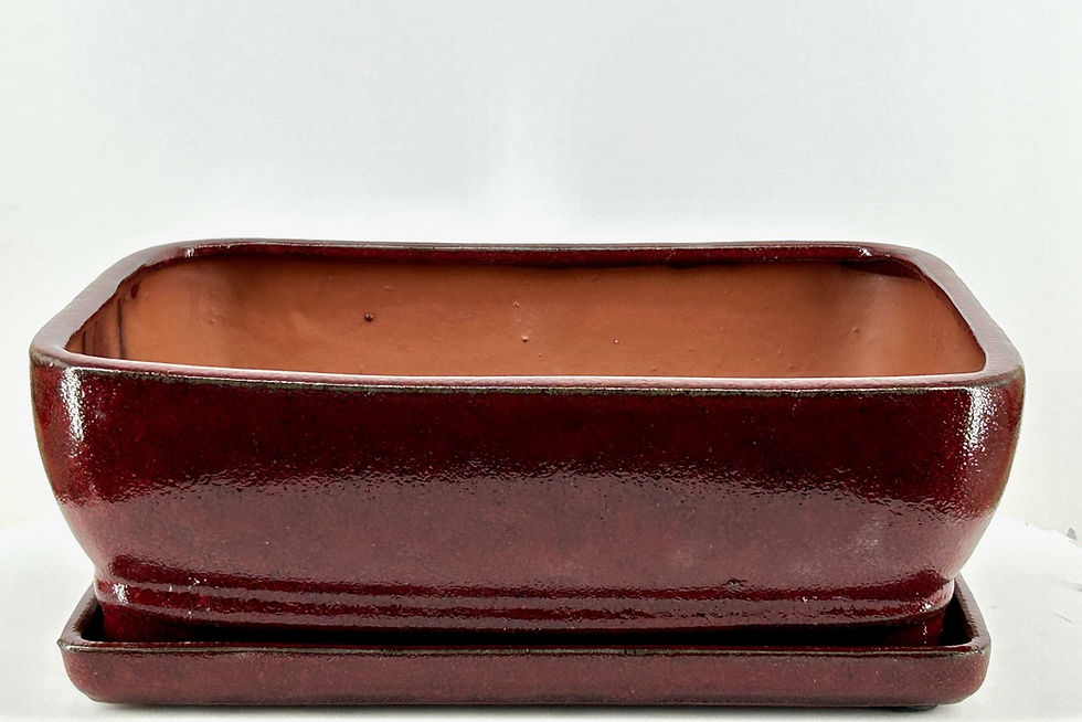 Imported ceramic bonsai pot with matching detachable tray, Measures: OD:10 1/4" x 7 1/2" x 3" ID:9 1/2" x 6 3/4" x 2 1/2"