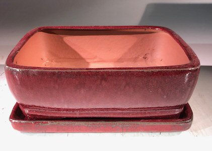 Parisian Red Ceramic Bonsai Pot