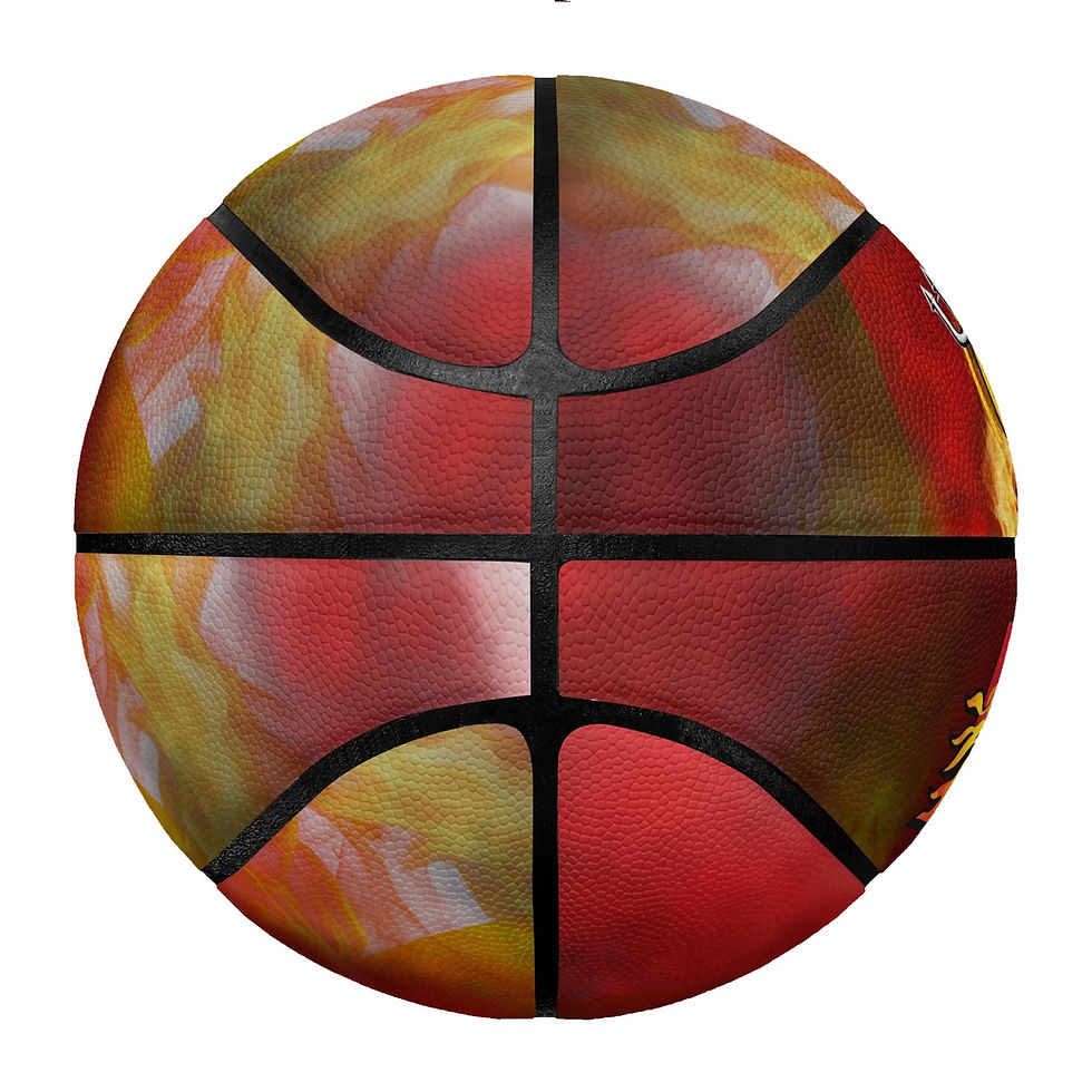 Thumbnail: EV Premium Leather Basketball