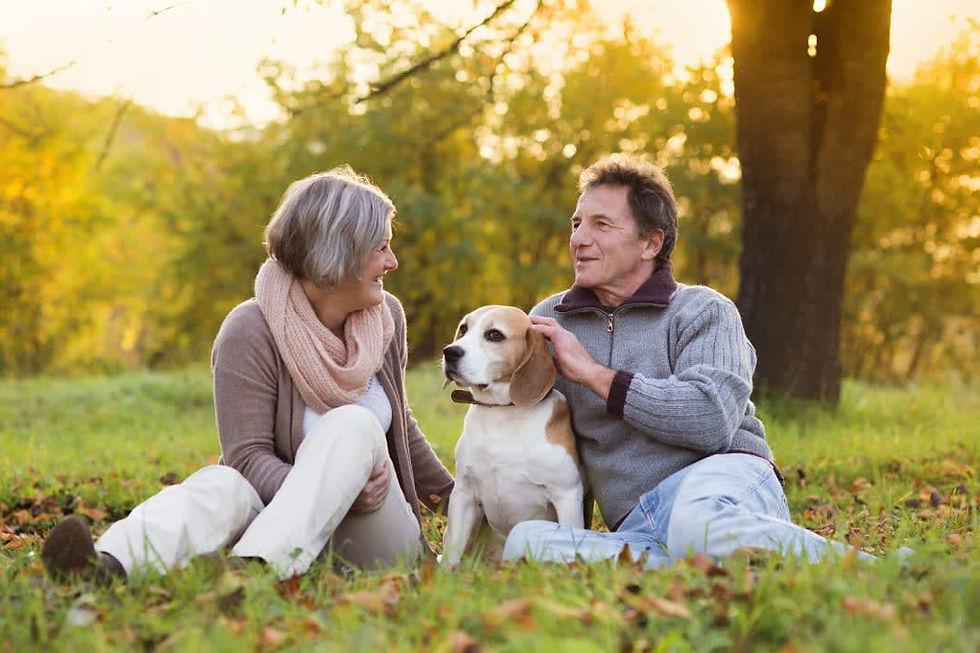 The Benefits of Safe and Reliable Transportation Services for Senior Citizens