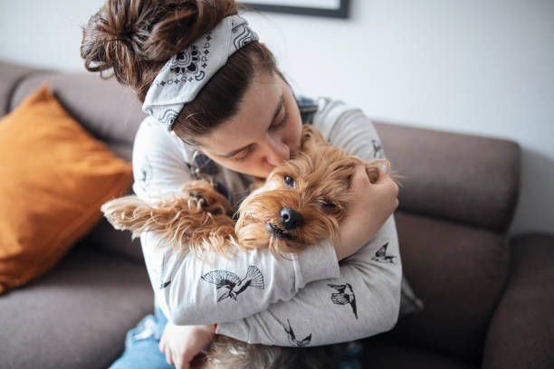 What Are the Different Types of Assistance Dogs? Types of Services and More