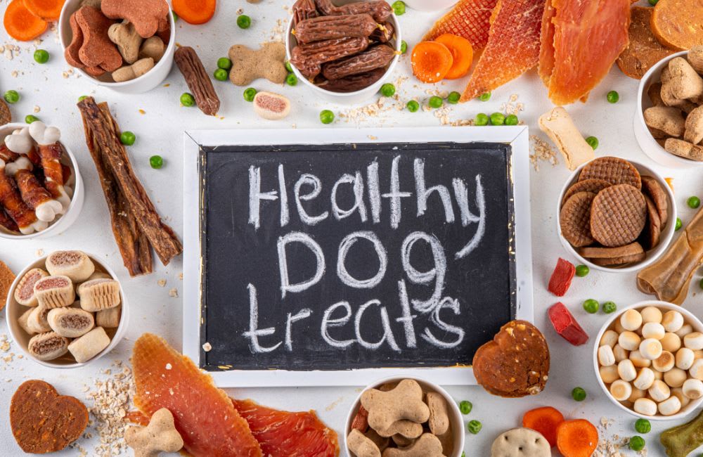 DIY Treat Recipes for Small Dogs: Healthy and Delicious