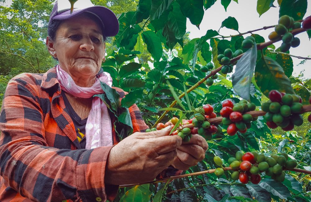 Empowering Women: Leadership in the Coffee Industry