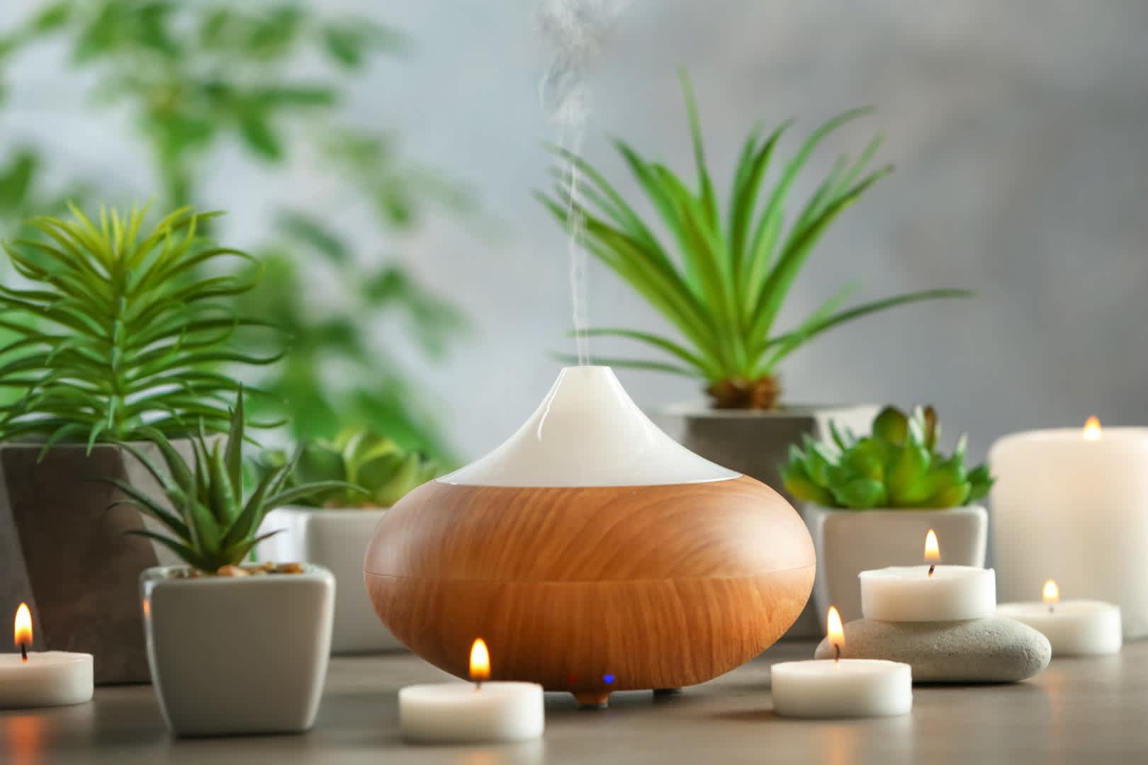 The Difference Between Aromatherapy and Essential Oils for Well-being