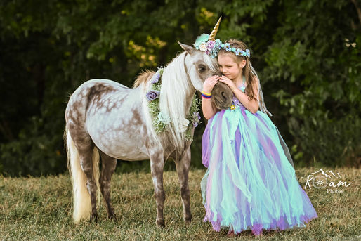 Unicorn Dreams