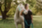 Woman and horse