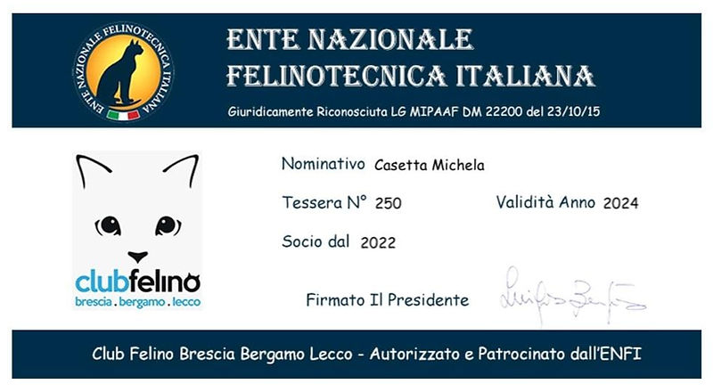 TESSERA ENFI