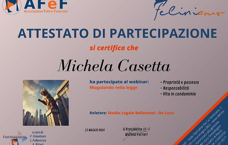 DIPLOMA FELINO