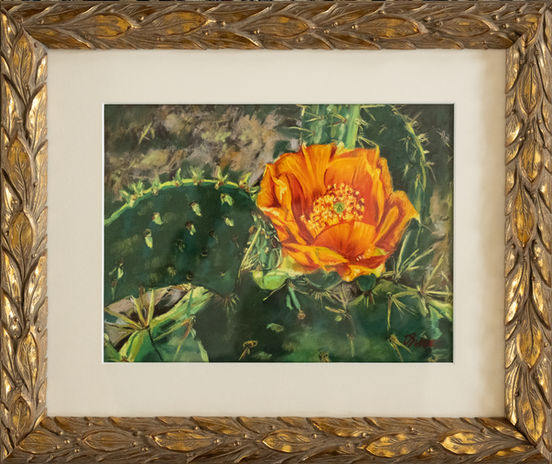 Orange rose