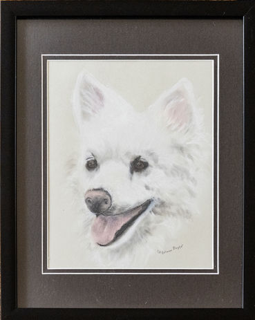 Portrait of a cute white dog