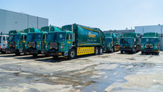 Cogent Insights:February 2026