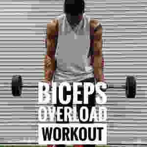Biceps workout