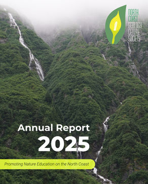 2025 Year in Review