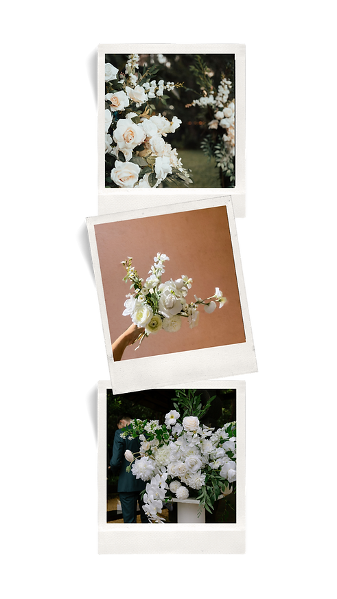 Aesthetic Vintage Photo Collage Phone Wallpaper (2).png