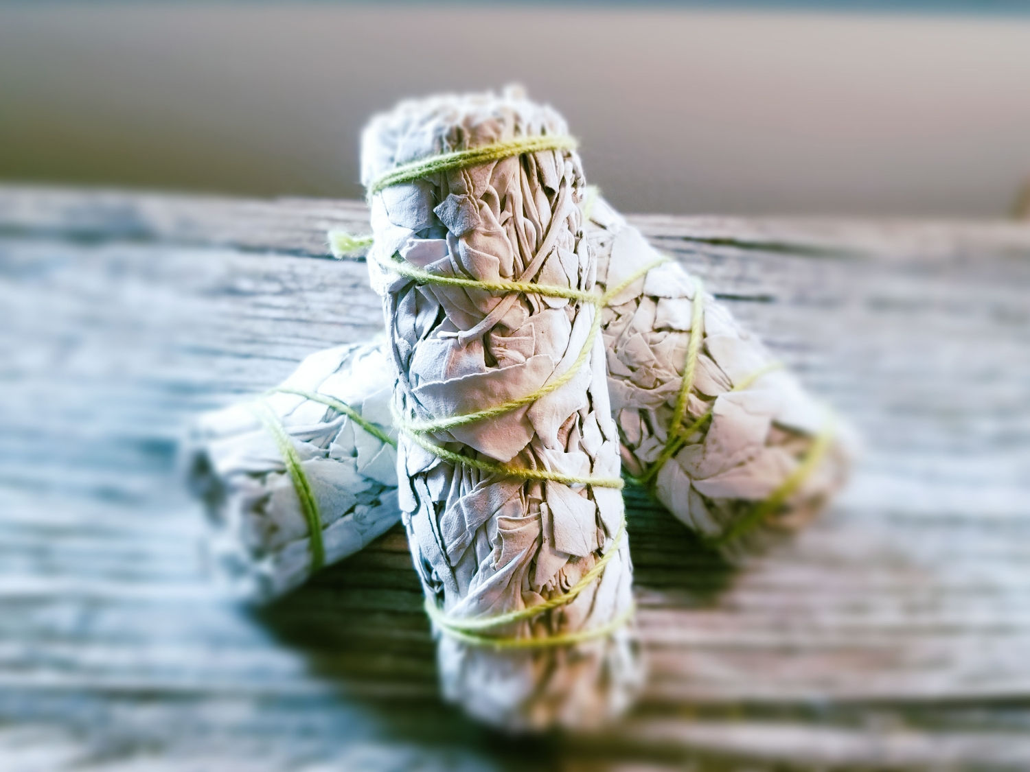 White Sage Smudge Stick