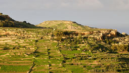 The Protection of Agricultural Land Regulations, 2025
