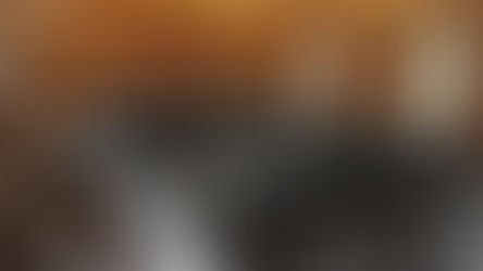 The Honourable Court