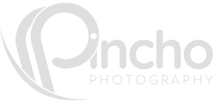logo pincho 2025.png