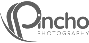 logo pincho 2025.png