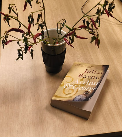 IMG_20251125_200428 (1).jpg