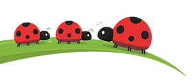 File_013_edited_edited.png