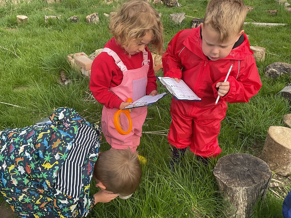 Bug hunt