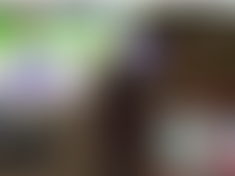 como poner skins geniales  para GTA S.A 