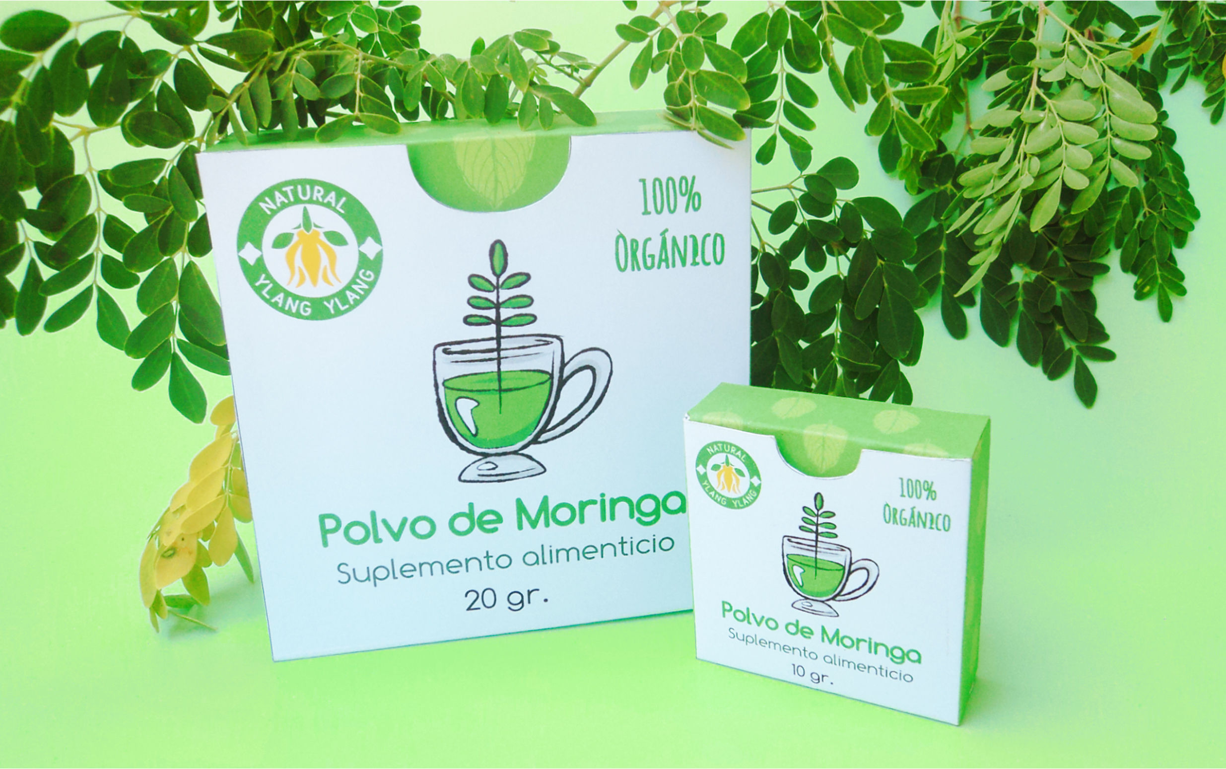 Polvo de Hoja de Moringa