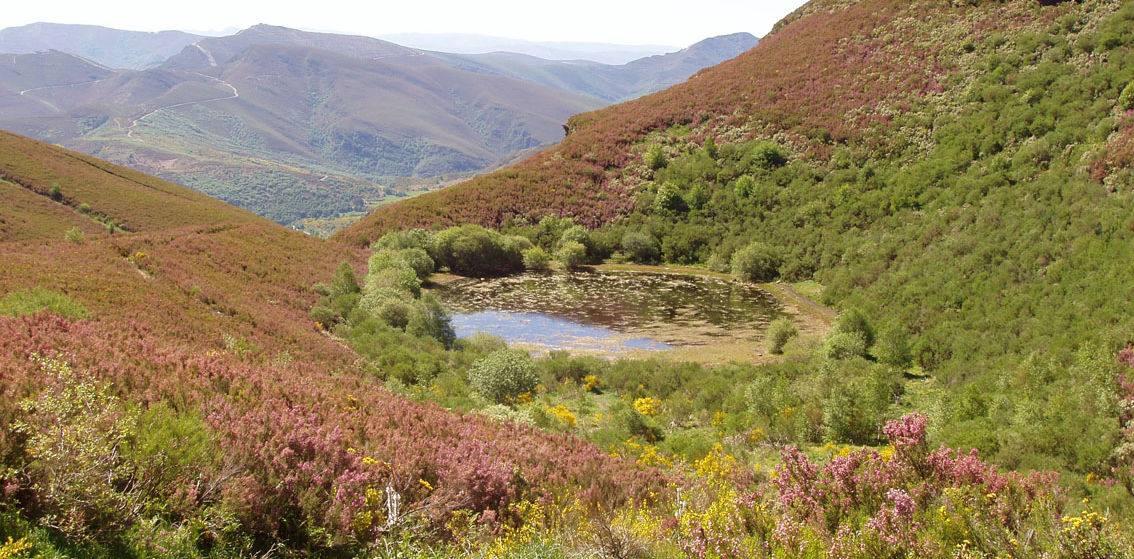 Glacial tarn lake of A Lucenza, Courel Mountains UNESCO Global Geopark.jpeg