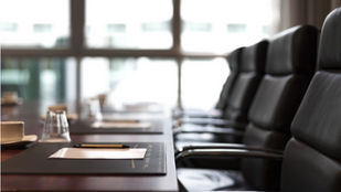 The government will impose a 9% levy on the salaries of company board members
