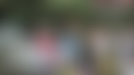 Finnish, Polish and Ukrainian business in June